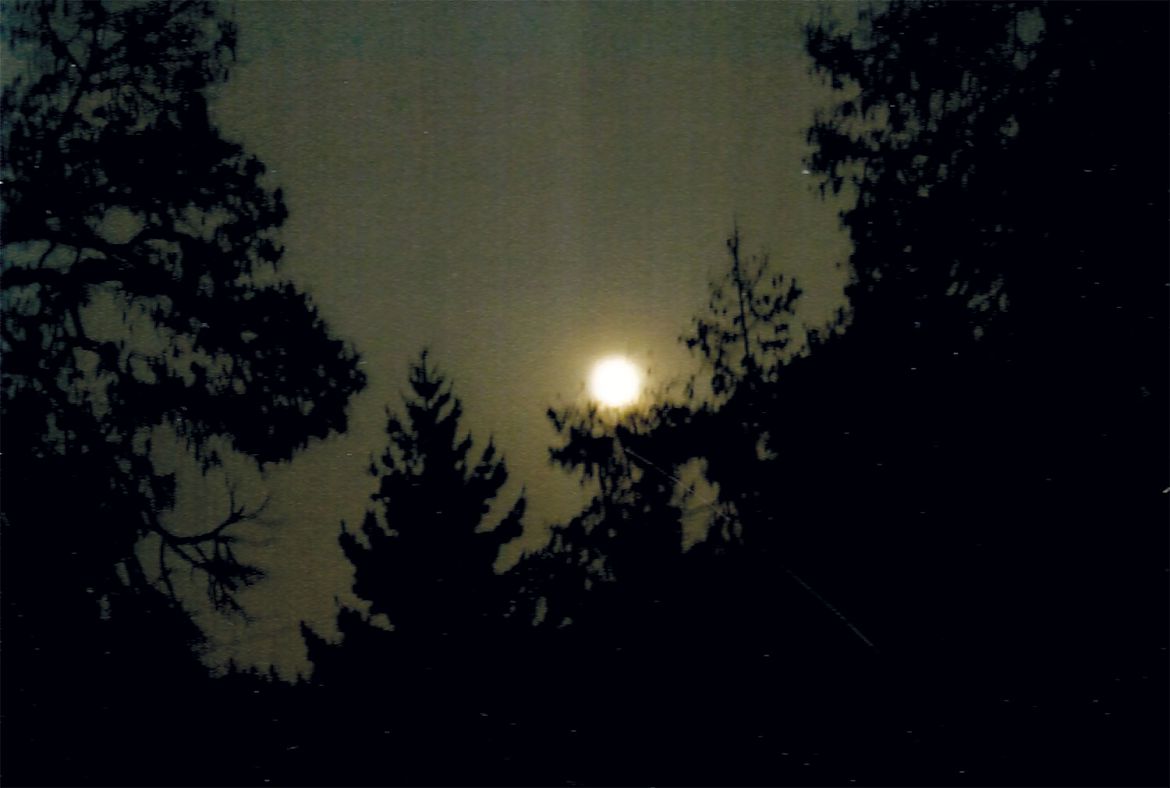 Es zieht ein Mondenschatten als mein Gefährte mit.........