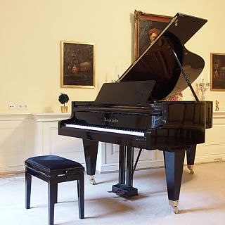 Schloss Höfling, Konzertsaal