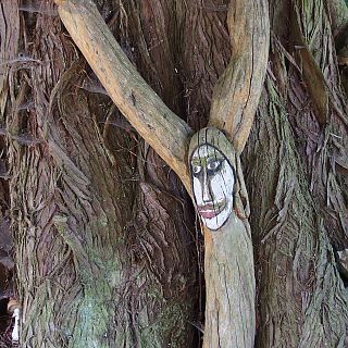 Schloss Höfling, Park,Holzbnom