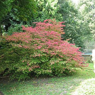 Schloss Höfling Regensburg