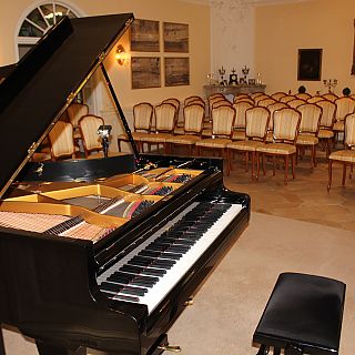 Schloss Höfling, Konzertsaal